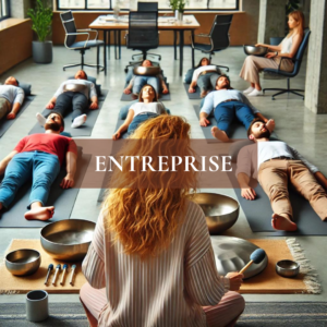 sono-entreprise